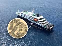 hantavirus-cruise-outbreak.jpg