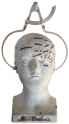 phrenology_calipers_George_Combe_on_Wells_bust.jpg