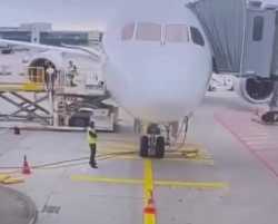 787.mp4