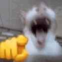 1779666607406099.gif