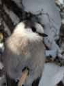 IMG_20260222_121410_915_1.jpg