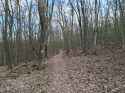 20260322_155956.jpg