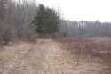 DSC03655.jpg