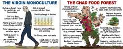 the virgin monoculture the chad food forest.png