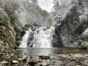 IMG-20220213-WA0010.jpg