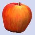IMG_4230.gif