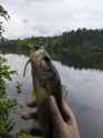 PXL_20260526_232416667.MP.jpg