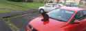 DSCF4415.jpg