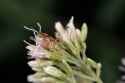 DSCF8119 small.jpg