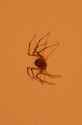 IMG-20260319-WA0011.jpg