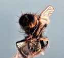 IMG-20260405-WA0008.jpg
