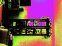 DSC00238 - Copy.jpg