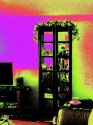 DSC00238.jpg