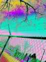 DSC00119.jpg