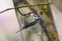 DSC08959.jpg
