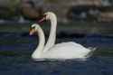 DSC03918.jpg