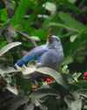 IMG-20260507-WA0086.jpg