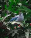 IMG-20260507-WA0122.jpg