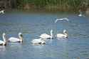 DSC01590-2.jpg
