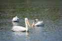 DSC01633-2.jpg