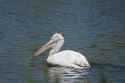 DSC01644-2.jpg