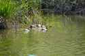 DSC01759-2.jpg