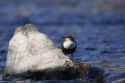 DSC00245.jpg