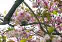 DSC09612.jpg