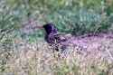 DSC00360.jpg
