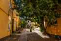 DSC09859.jpg