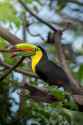 DSC05855-2.jpg