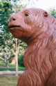 Sloth.jpg