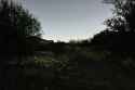 DSC04335_Radiant.jpg
