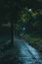 [Night Photos]-9.jpg