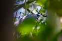DSC06159-2.jpg