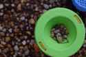 DSC_0003_small.jpg
