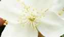 IMG-20260603-WA0000.jpg