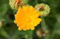IMG-20260603-WA0001.jpg