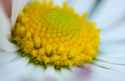IMG-20260603-WA0003.jpg