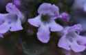 IMG-20260603-WA0004.jpg