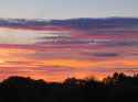 20260605_211205.jpg