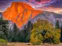 Ansel Adams.jpg