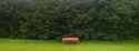 WP_20260611_10_17_12 Red bench in the rain.jpg