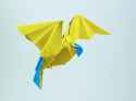 P_Parrot_Terry_Bolivia19.jpg