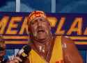 hogan-face.gif