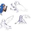 Swallow draft.png
