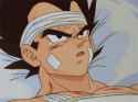 VegetaHospital.gif