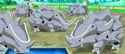 Rhyhorn_Rental.jpg