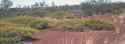 Scrubland2.jpg