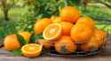 Oranges-iStock-1493917402.jpg